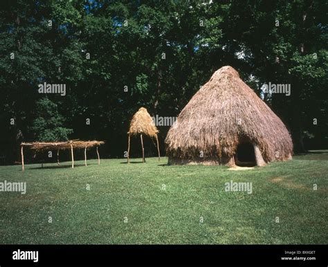 natchez indians pictures.